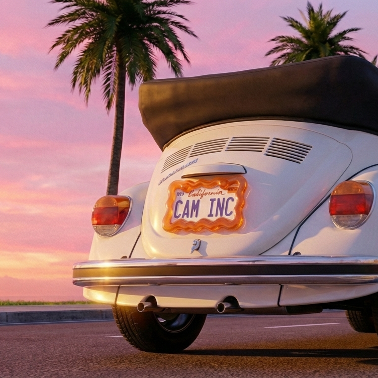 Juicy Orange-license plate frame