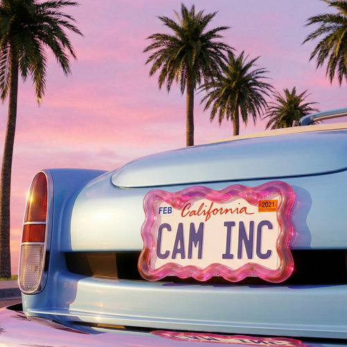 Electric pink-license plate frame